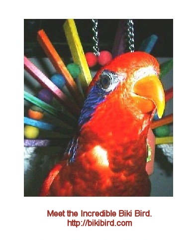 Biki