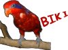 thumbnail of Biki on a branch