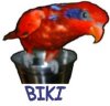 thumbnail of Biki on a dish